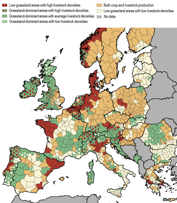 what-is-the-average-size-of-a-dairy-beef-or-poultry-farm-in-europe