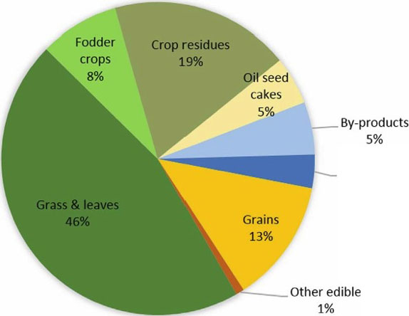 Feed, Livestock, Crops & Animals