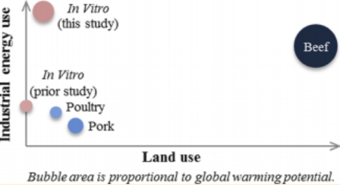 Are meat substitutes such as in vitro ‘meat’ better for the environment
