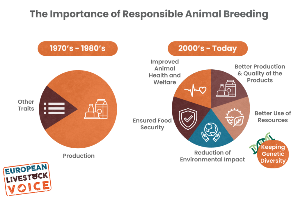 the-importance-of-responsible-animal-breeding-european-livestock-voice