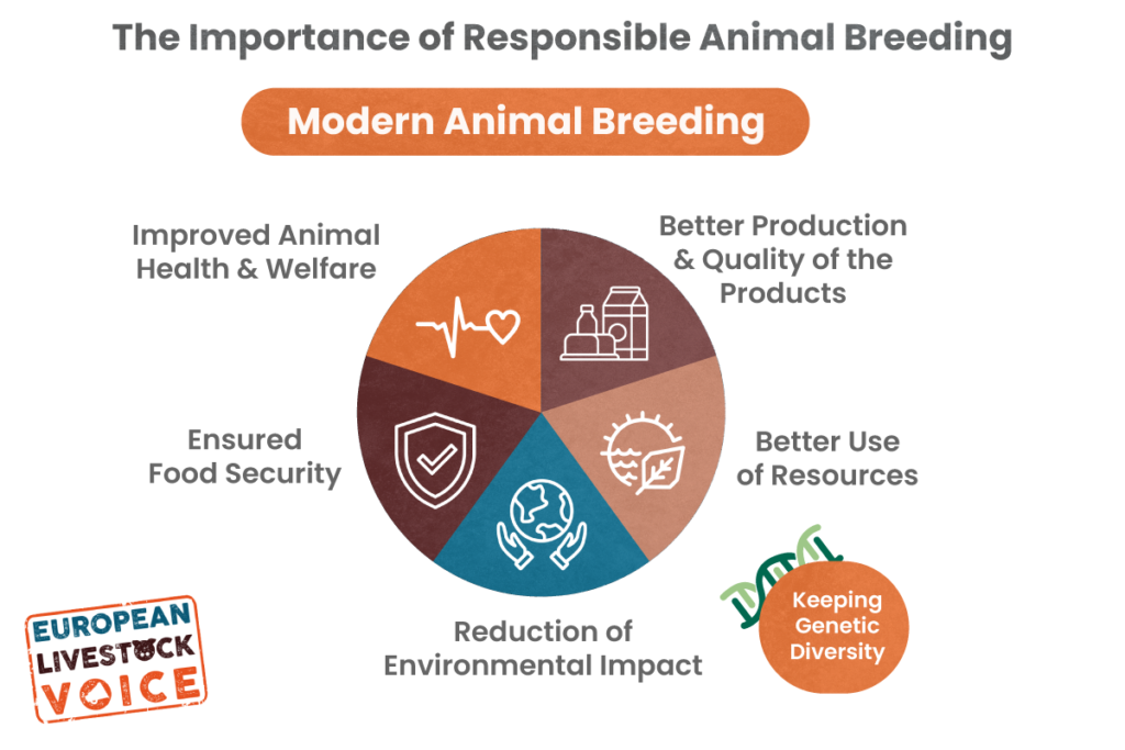 the-importance-of-responsible-animal-breeding-european-livestock-voice