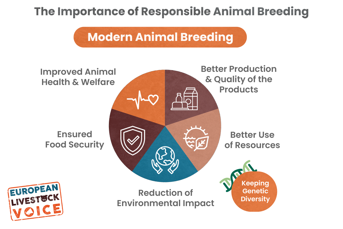 The importance of responsible animal breeding | European Livestock Voice